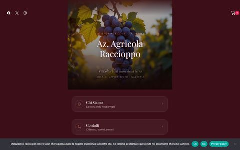 Anteprima del sito Azienda Agricola Raccioppo
